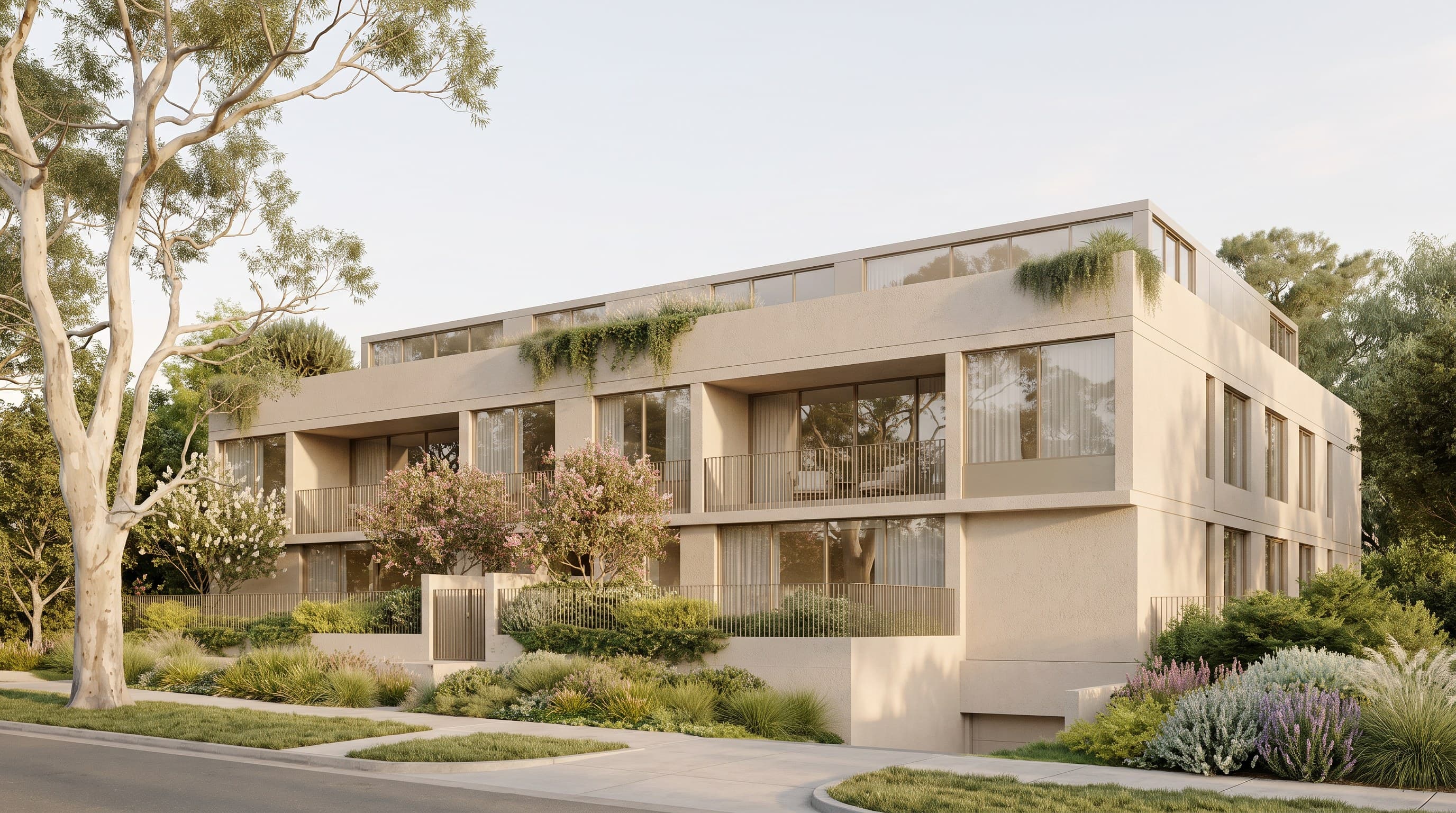 Finished render of the same building with warm evening light, eucalyptus trees and planted front garden